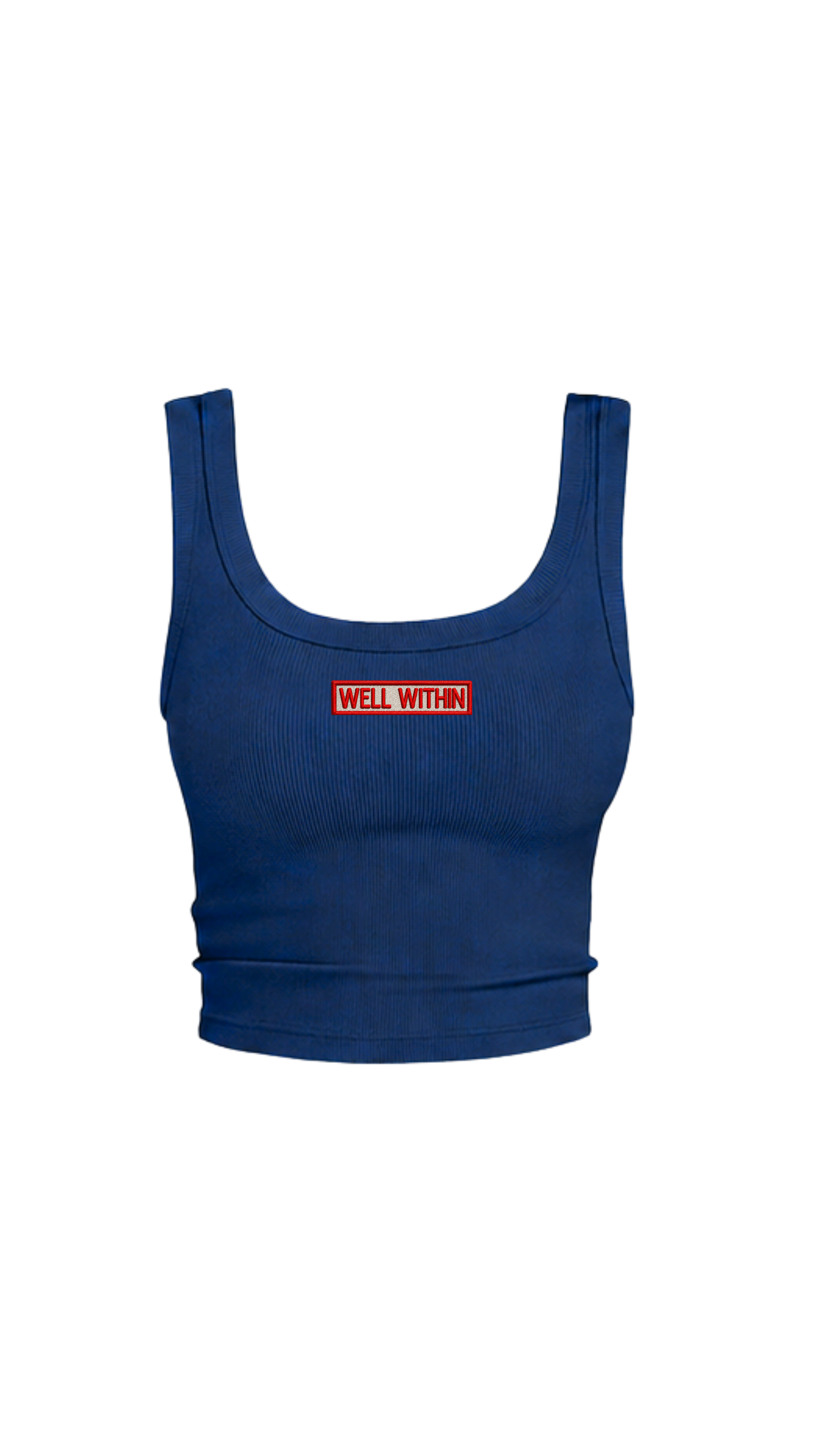 4th of July Collection: Swoop Neck Patch